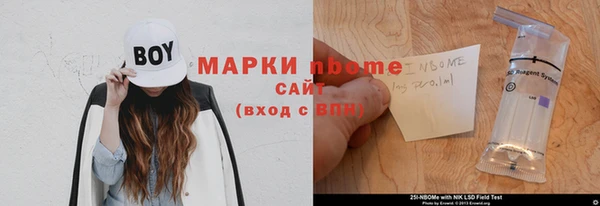 индика Саяногорск