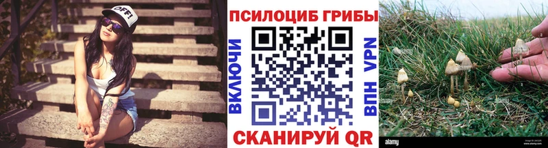 Псилоцибиновые грибы Cubensis  Саянск 