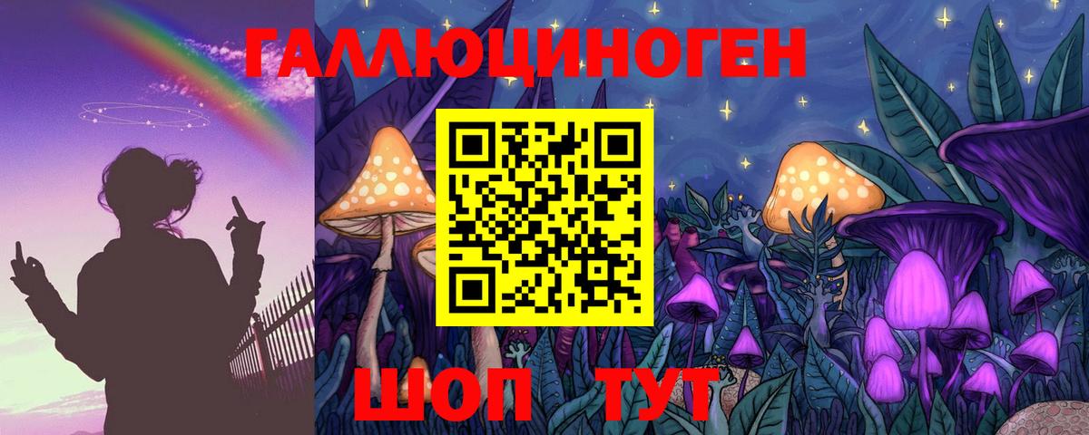 Саянск  Псилоцибиновые грибы Cubensis  Вход с VPN  Галлюциногенные грибы Magic Shrooms 